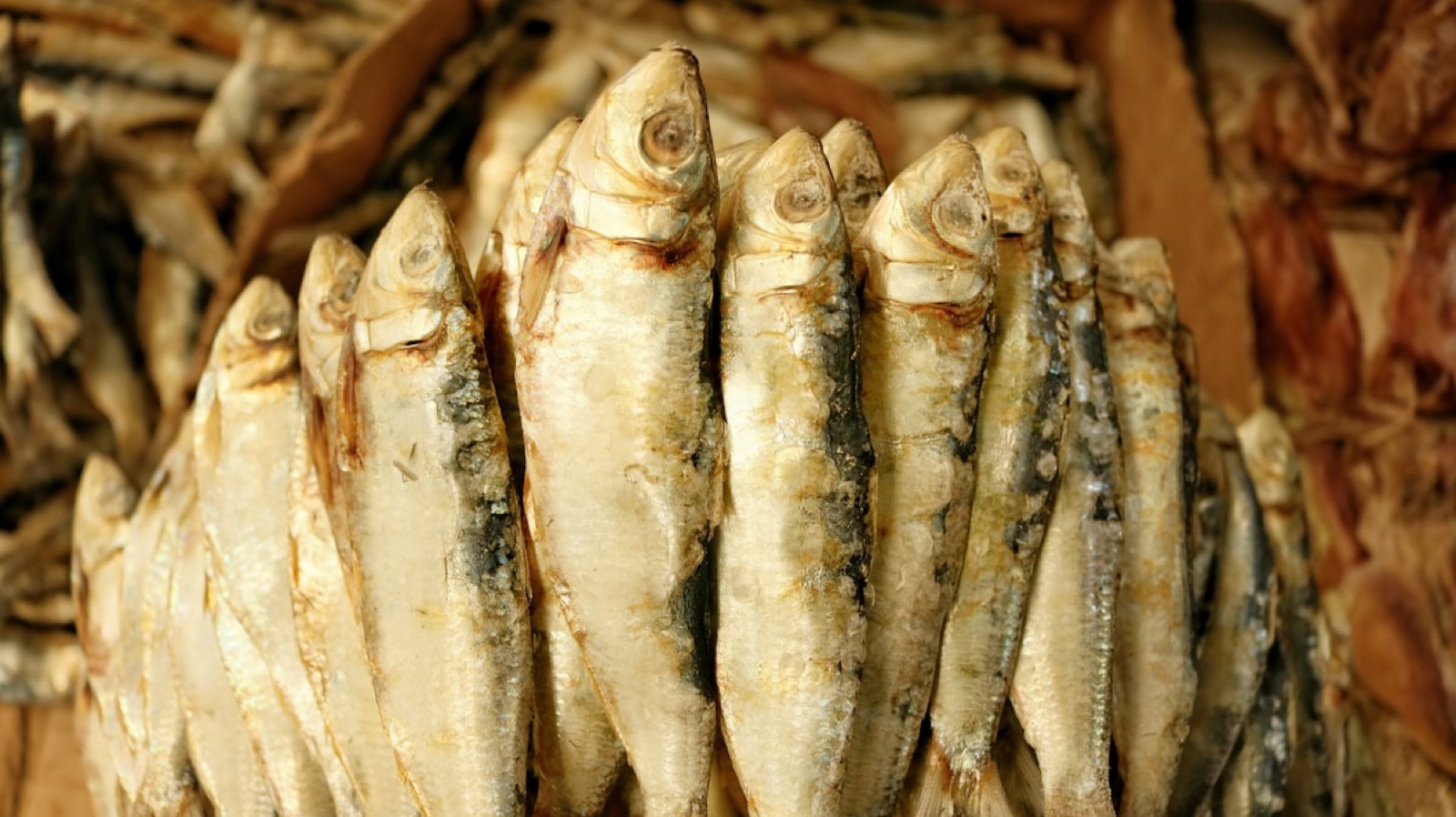塩漬けの干物